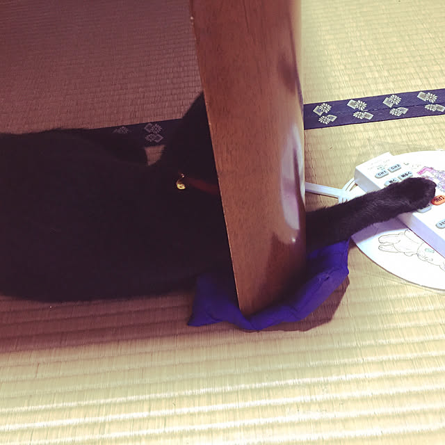 OmamekOさんの実例写真