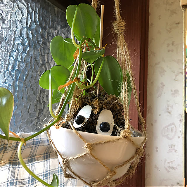 kaeruさんの実例写真