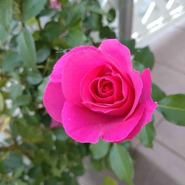 Bienvenueさんの部屋