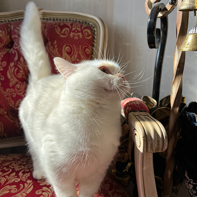 AYUKOさんの部屋
