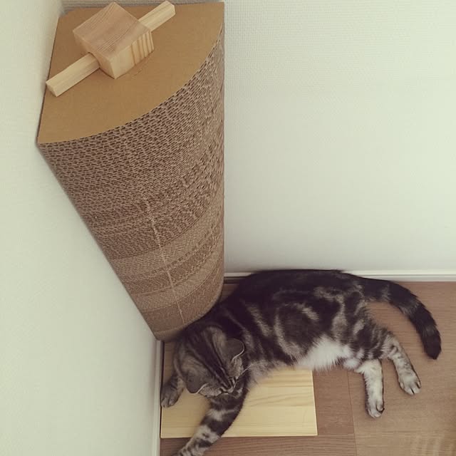 mikomaruさんの実例写真