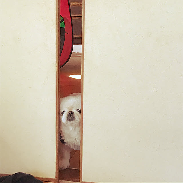 marimoさんの実例写真