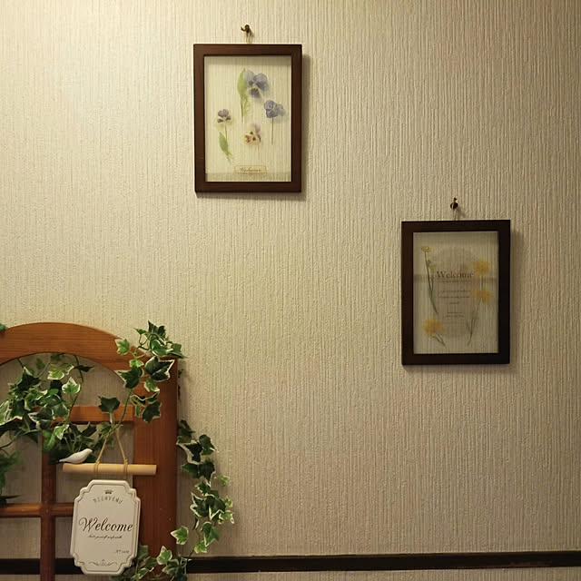 Ampouleさんの実例写真