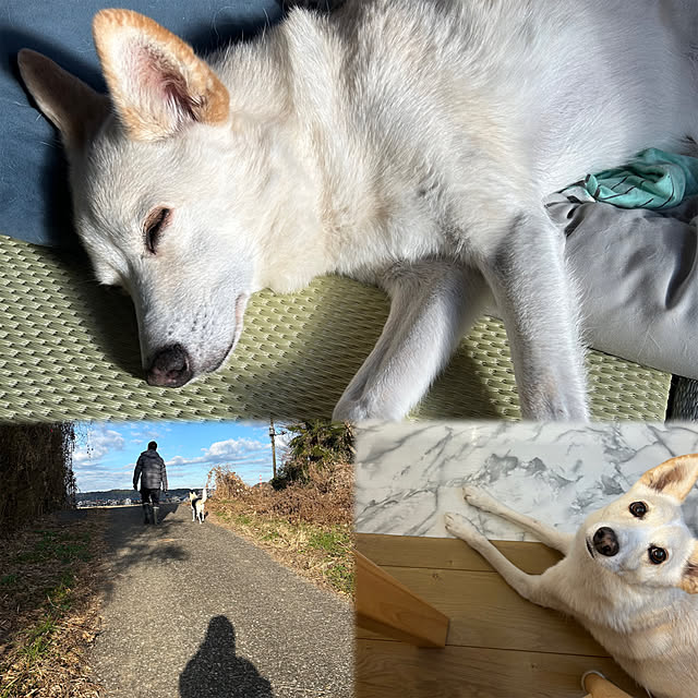 tanboさんの部屋