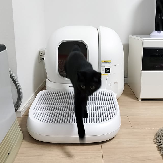sakuraさんの部屋