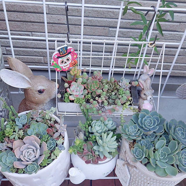 aikkoさんの実例写真