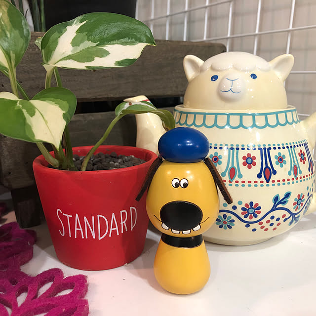 timmymamaさんの実例写真