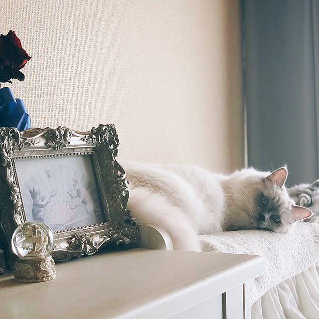 maさんの実例写真