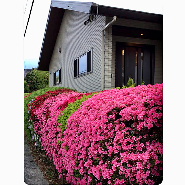 houenさんの実例写真
