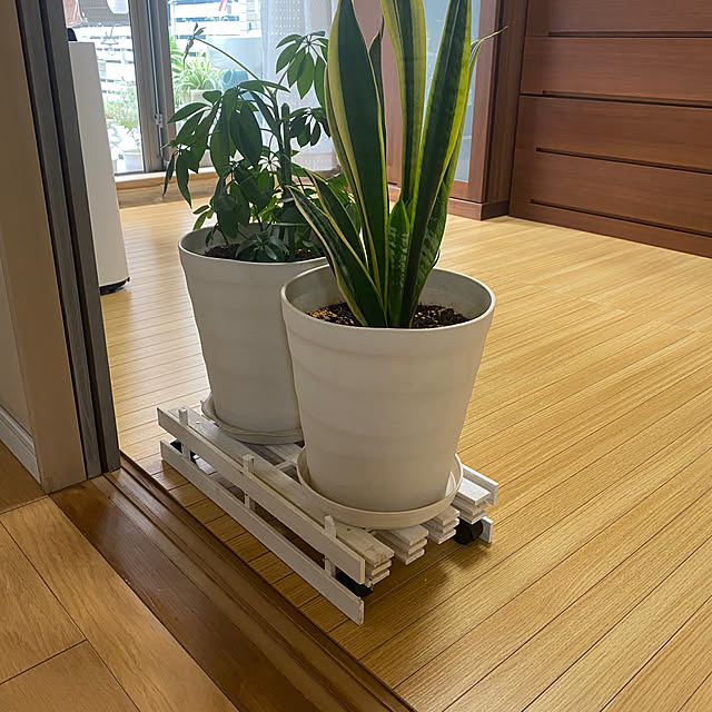 YuuKoさんの実例写真