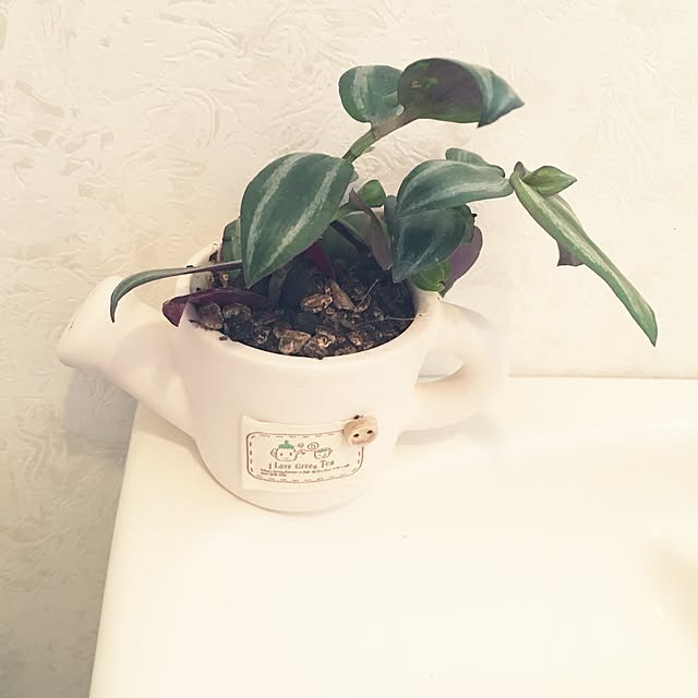 karugoさんの実例写真