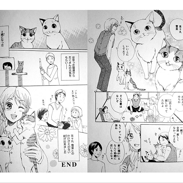 棚/2024年/ナチュラル/北海道/愛猫...などのインテリア実例 - 2024-12-22 20:25:45