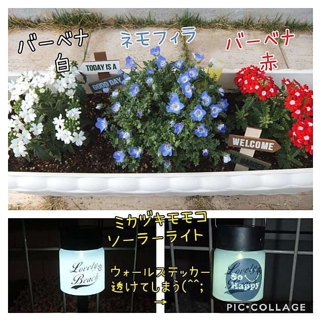 kandk1215さんの実例写真