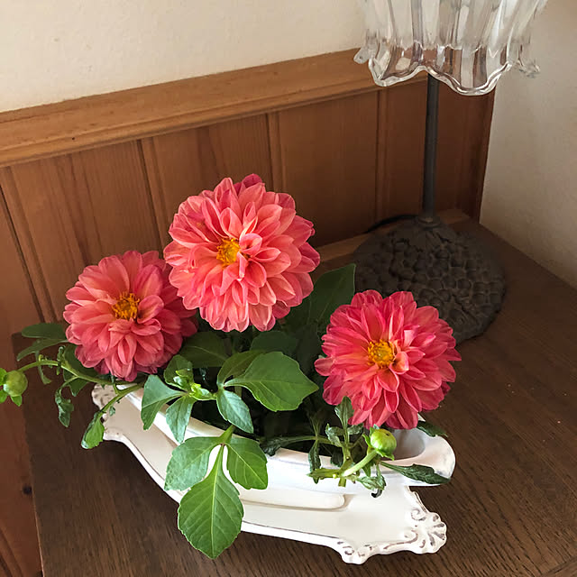ikubooさんの実例写真