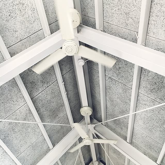 CORALさんの実例写真