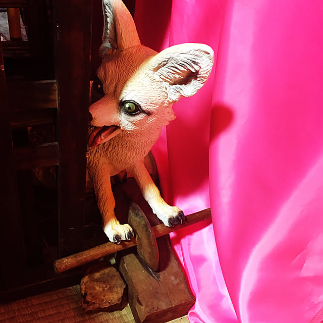 takakuzenさんの実例写真