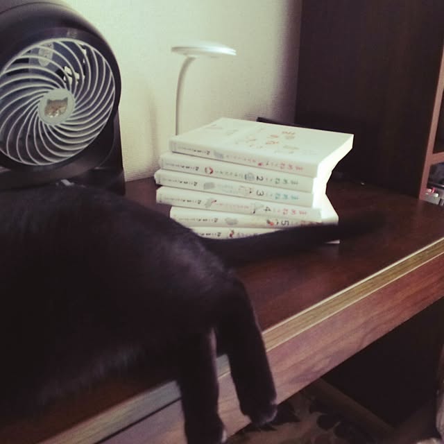mntcさんの実例写真
