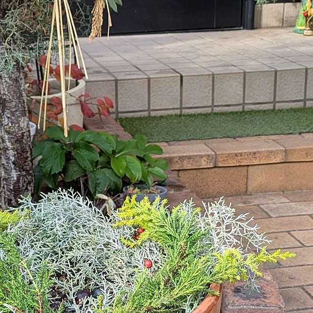 mori_6_12さんの部屋