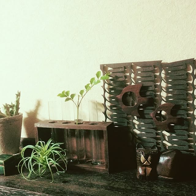 manatomoさんの実例写真