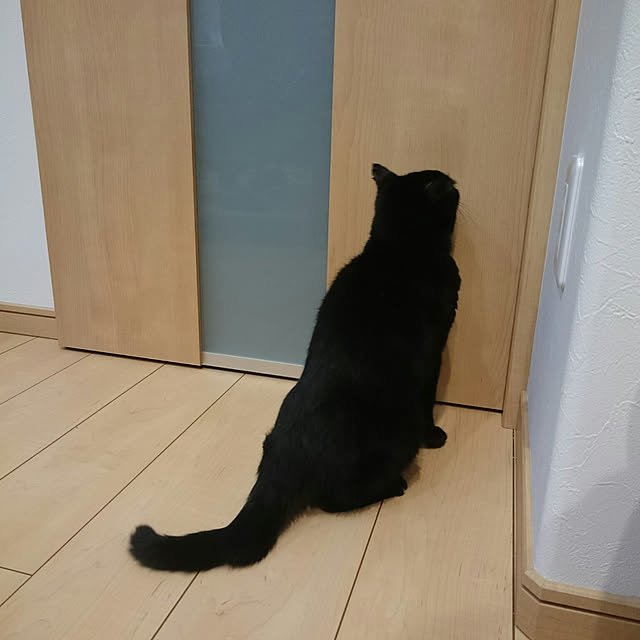 aisuさんの実例写真