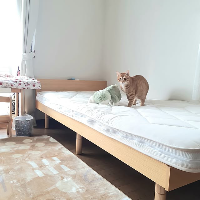 m.m.mさんの実例写真