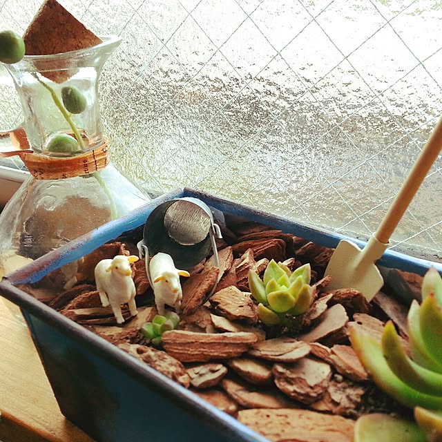 hiromi0302さんの実例写真