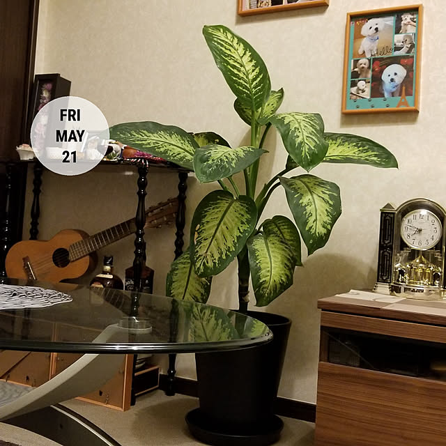 takoさんの実例写真