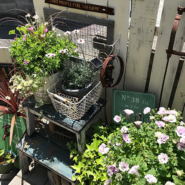 nokoさんの実例写真