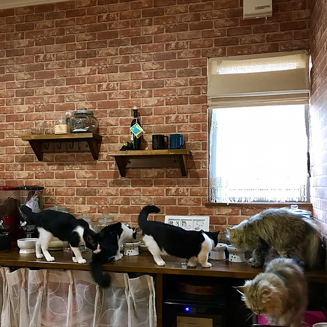 butachanさんの実例写真