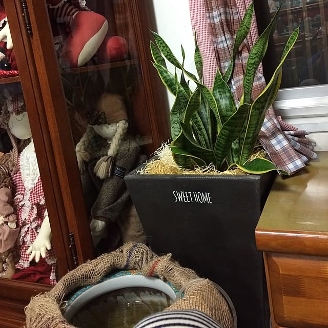実例写真