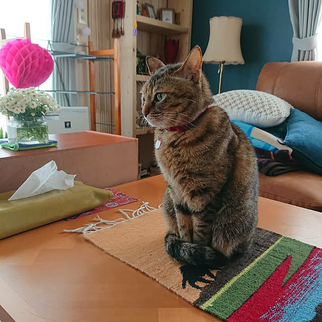tyunaさんの実例写真