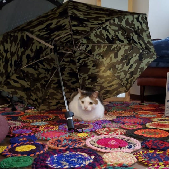 booさんの実例写真