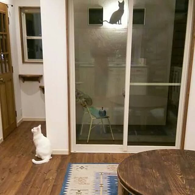 リビング/猫のインテリア実例 - 2015-02-07 10:07:56