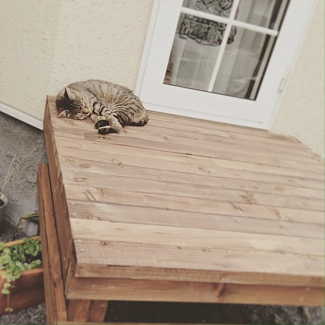 koyuさんの実例写真