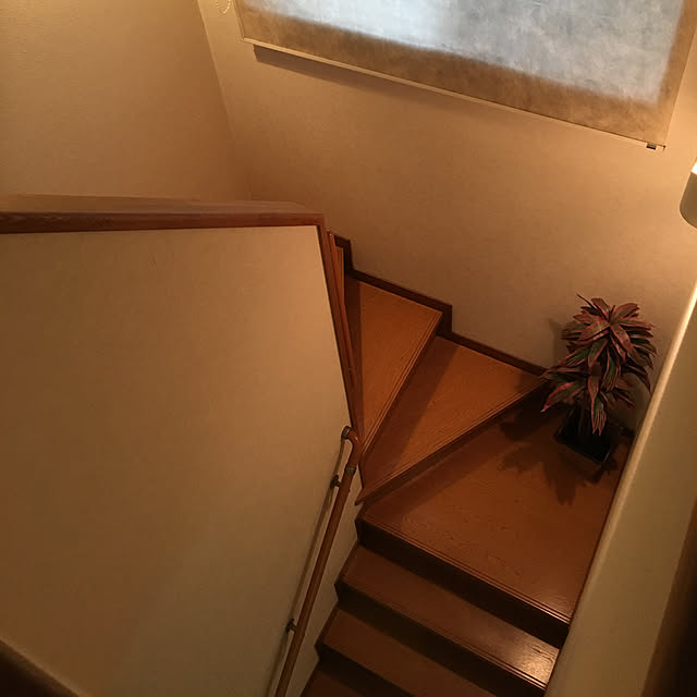 teftef0715さんの実例写真