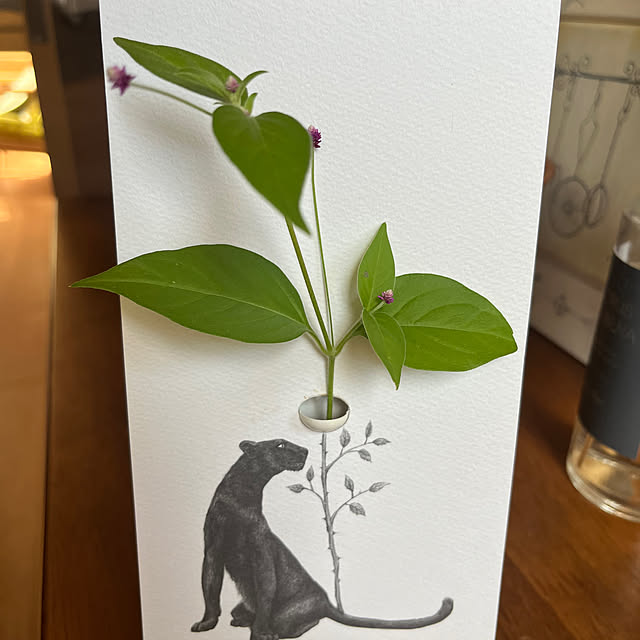 rinrinさんの部屋