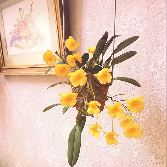 a-saさんの実例写真