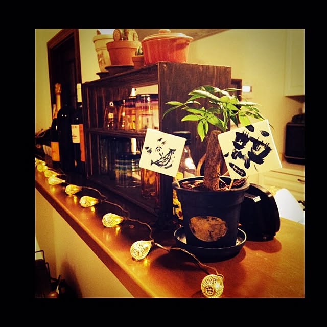 Mikaさんの実例写真