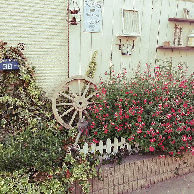 maimaiさんの実例写真