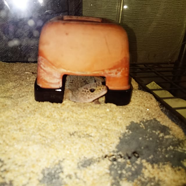 ywr.chanさんの実例写真