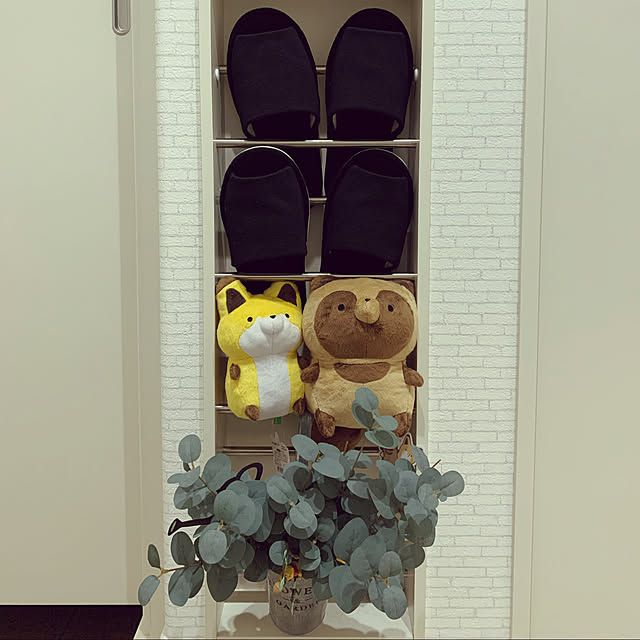 Raccoonさんの実例写真