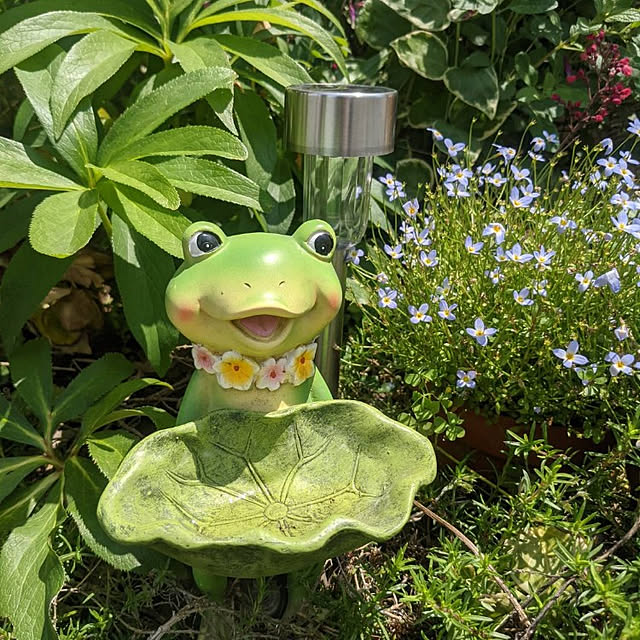 chiiさんの実例写真