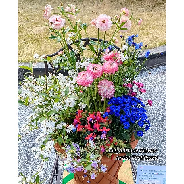 ElegantiqueFlowerさんの部屋