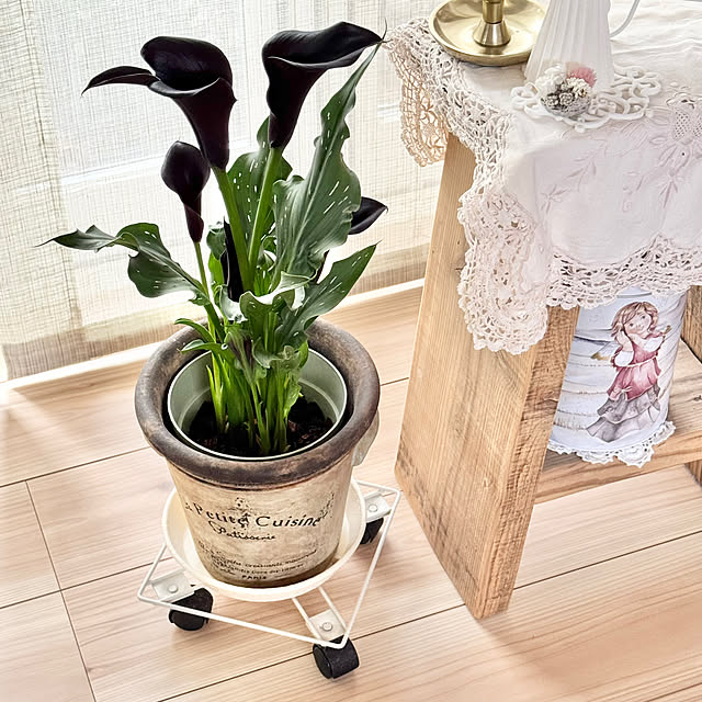 Chigusaさんの部屋