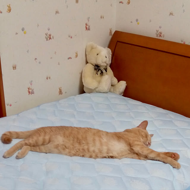 Mugiさんの実例写真