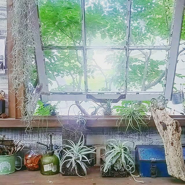 mai.tameさんの実例写真