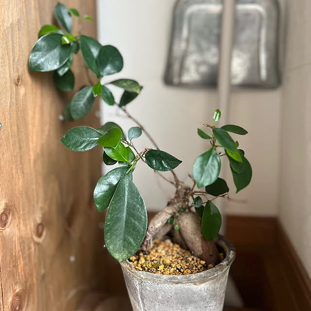 rookuさんの部屋