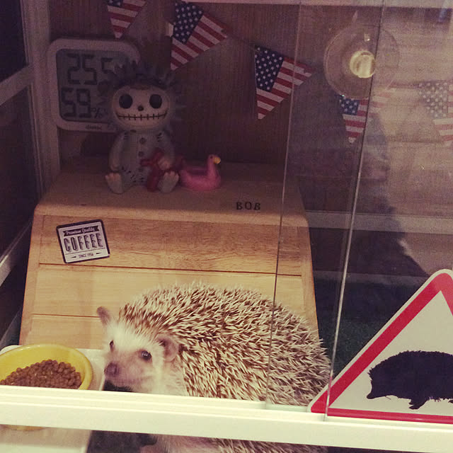 faluさんの実例写真