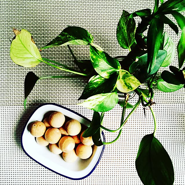 f1-cornさんの実例写真