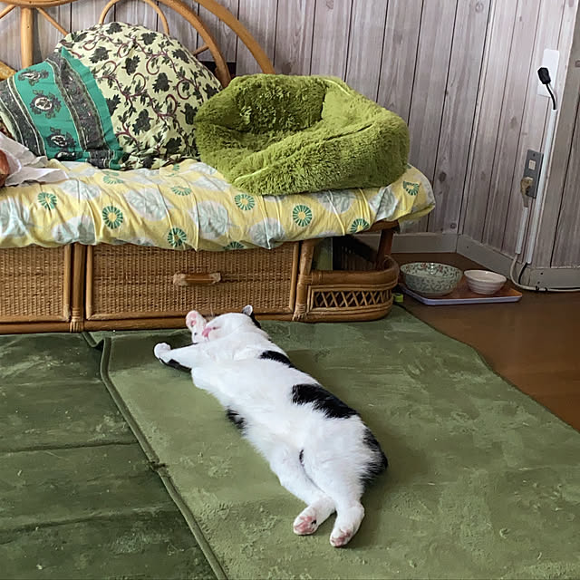 SHIHOさんの実例写真
